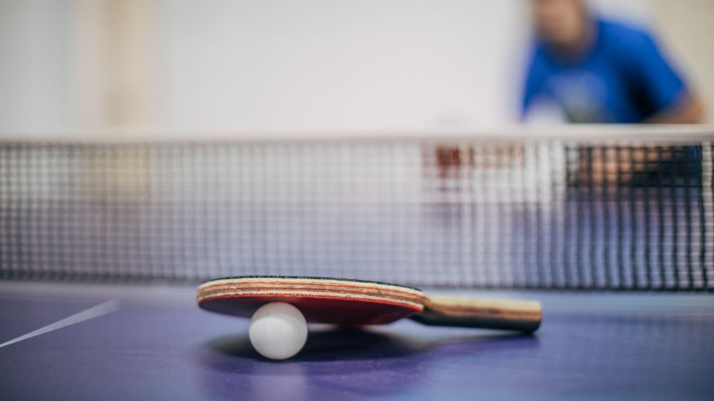 Ping Pong Practice: How To Play Ping Pong Alone?